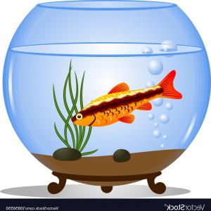 300x300 Transparent Aquarium Vector Illustration Habitat Water Tank House