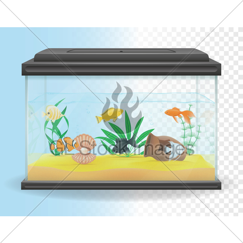 500x500 Transparent Aquarium Vector Illustration Gl Stock Images
