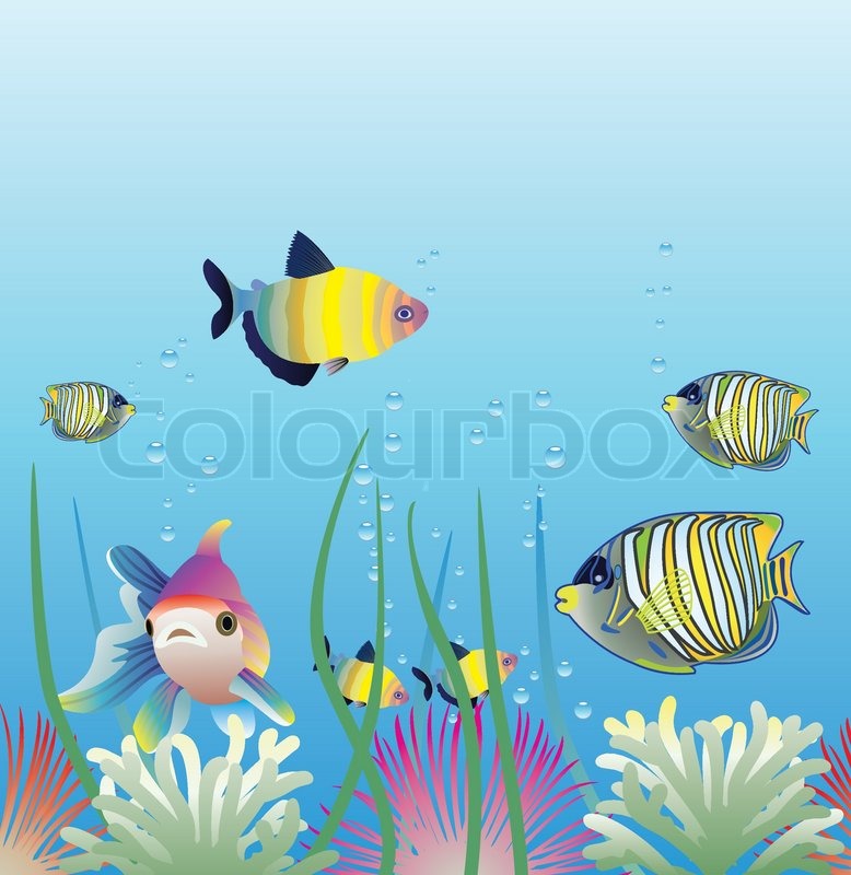 778x800 Vector Aquarium And Fishes Stock Vector Colourbox