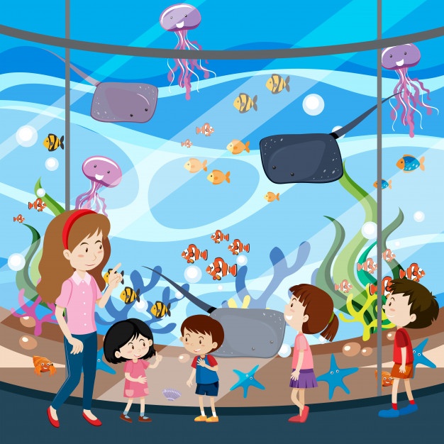 626x626 Aquarium Vectors, Photos And Psd Files Free Download