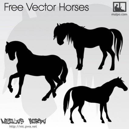 425x423 Arabian Horses Free Vector 4vector