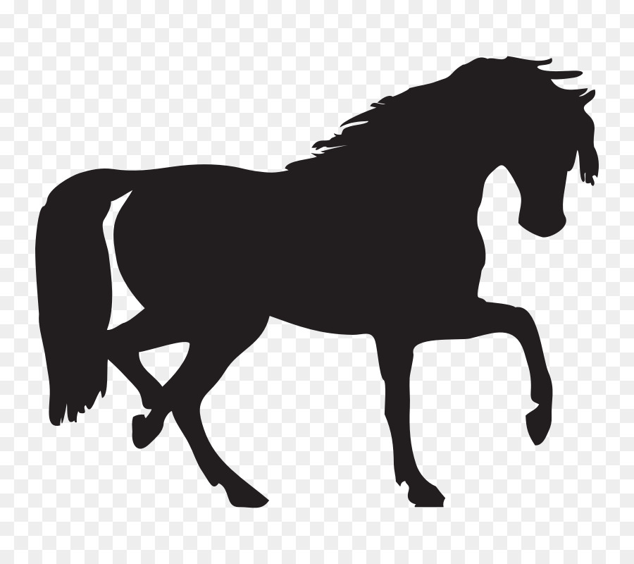 900x800 Arabian Horse Silhouette Scalable Vector Graphics Clip Art