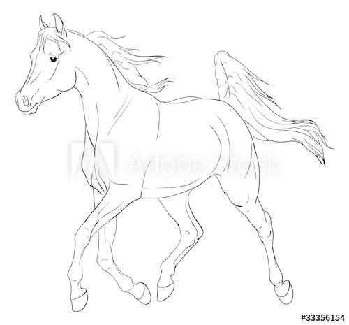 500x465 Arabian Horse Vector Illustration