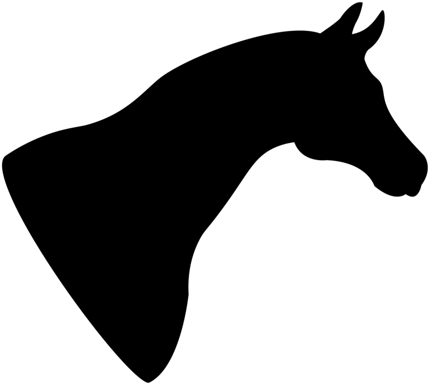 Arabian Horse Vector at GetDrawings | Free download