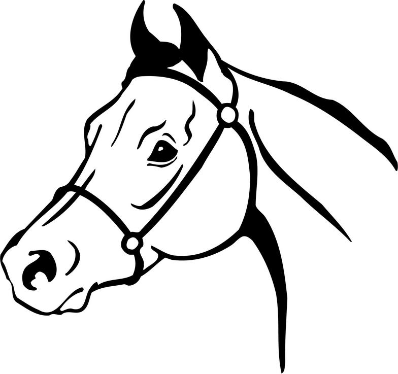 784x737 Free Horse Head Clipart Image