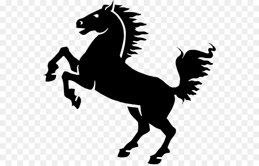 Arabian Horse Vector at GetDrawings | Free download