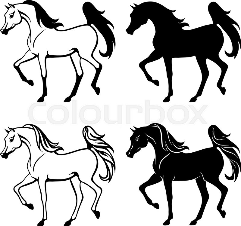 800x752 Outline And Silhouette Illustration Of Beautiful Arabian Horse