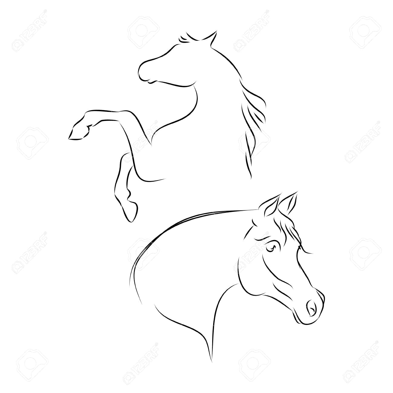 1300x1300 83738759 Arabian Horse Head Outline On A White Background Vector