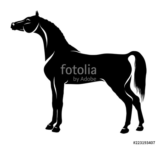 500x464 A Silhouette Of The Arabian Horse. Stock Image And Royalty Free