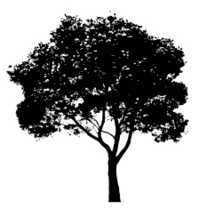 199x209 Silueta De Vector Stock Vector