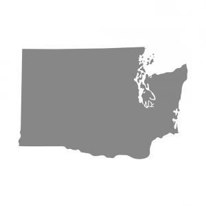 300x300 Arizona State Map Outline Smooth Simplified Lazttweet