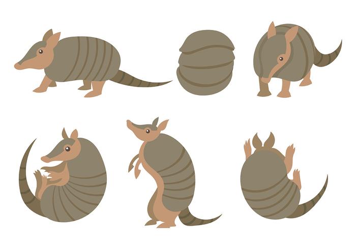 700x490 Armadillo Vector Icons