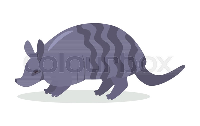 800x504 Armadillo Cartoon Character. Cute Armadillo Flat Vector Isolated