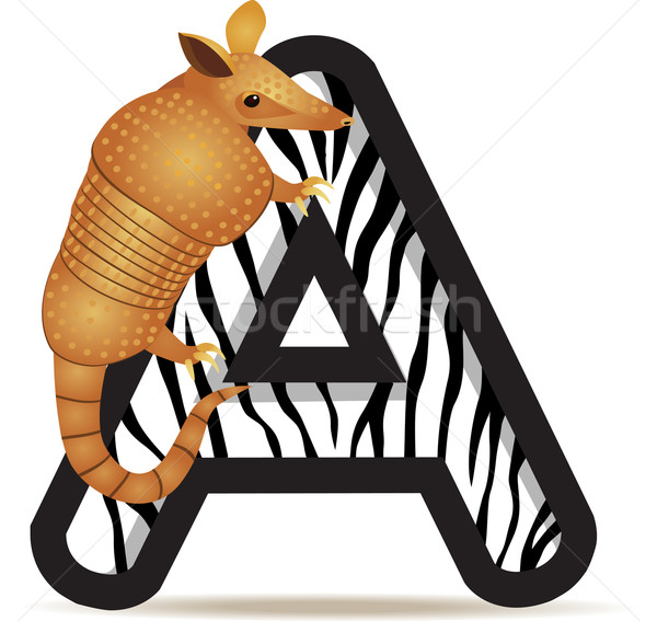 600x567 Armadillo With Alphabet A Vector Illustration Surya Zaidan