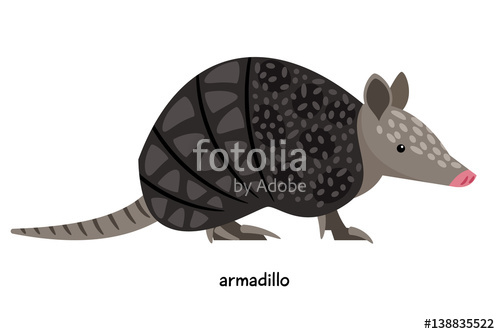 500x334 Armadillo