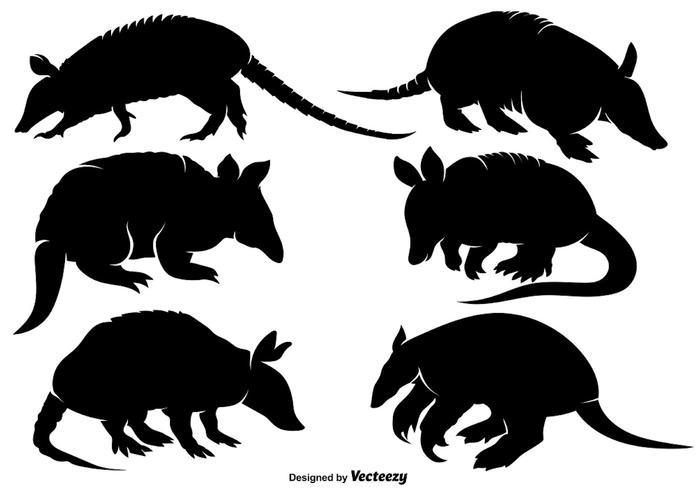 700x490 Vector Armadillo Icon Set