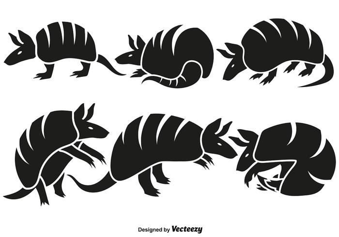 700x490 Vector Set Of Armadillo Icons