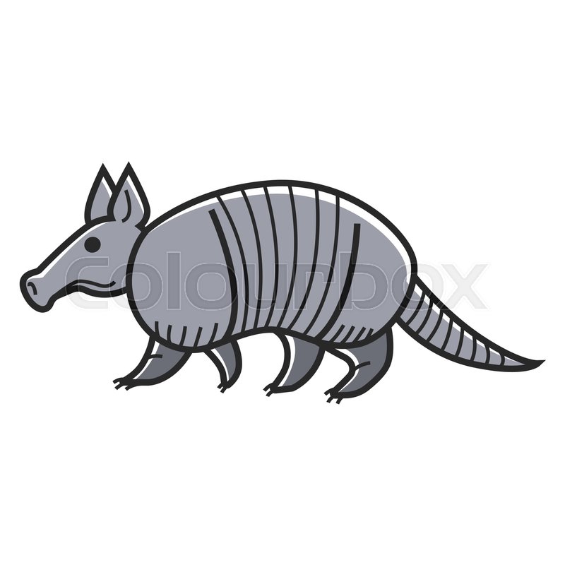 800x800 Vector Illustration Of Gray Colored Armadillo Animal Isolated On