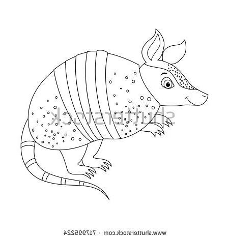 450x470 How To Draw An Armadillo Coloring Pages For Kids Stock Vector
