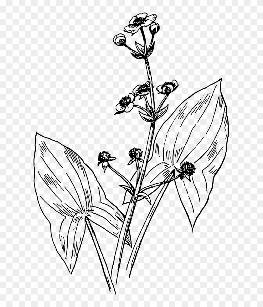 840x980 Arrow Head Clipart, Vector Clip Art Online, Royalty