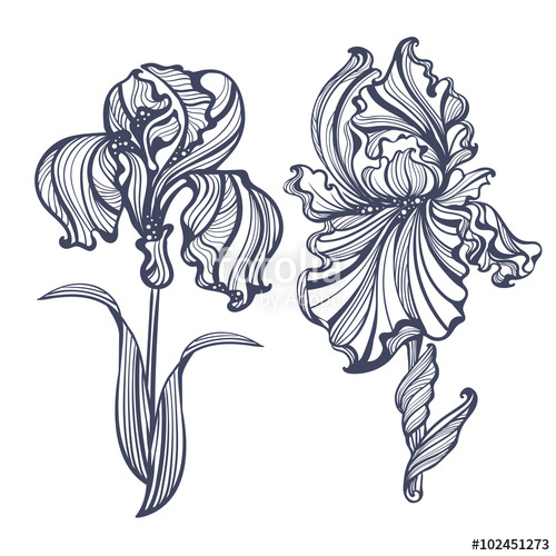 500x500 Free Art Nouveau Flowers Vector