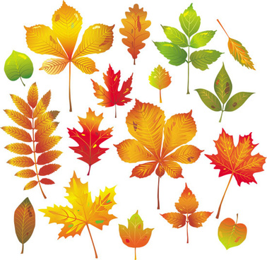378x368 Aspen Free Vector Download (10 Free Vector) For Commercial Use