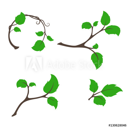 500x500 Branch Tree With Aspen Leaves Vector Set For Harvest, Natural