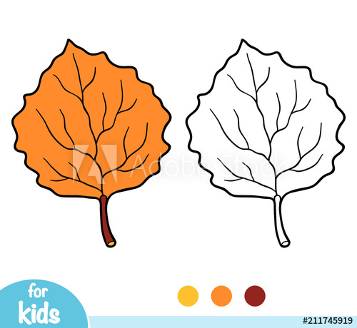 500x460 Coloring Book, Aspen Leaf