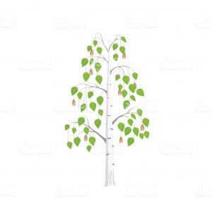 300x300 Stock Illustration Birch Tree Forest Vector Deer Birds Winter