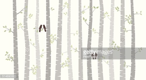 499x275 Vector Birch Or Aspen Trees With Autumn Leaves Premium Clipart