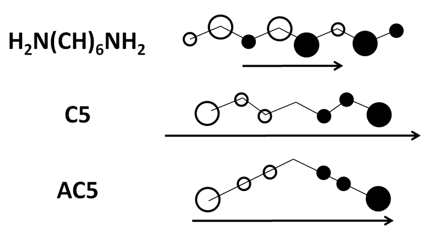 850x463 Transition Dipole Moment M Eg Vector And Atomic Transition Density
