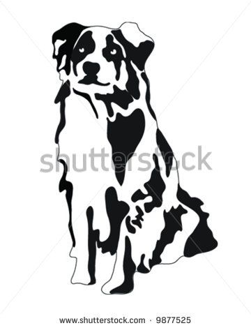 360x470 Australian Shepherd