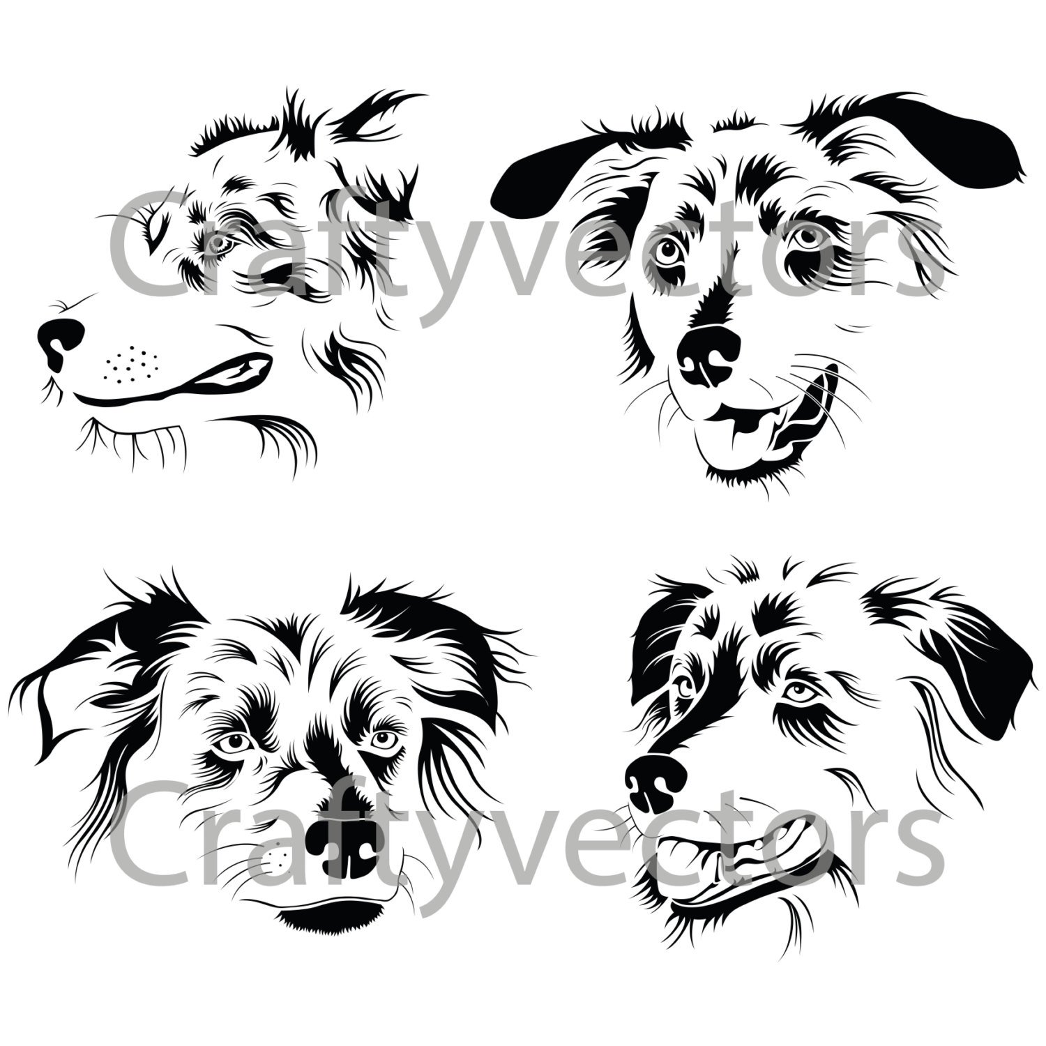 1500x1500 Australian Shepherd Portraits Vector File Svg Etsy