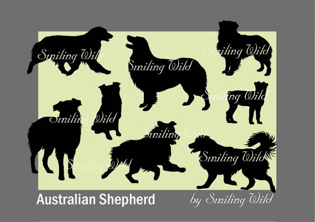 642x454 Australian Shepherd Svg Silhouette Vector Graphic Art File Dog Etsy