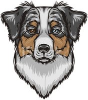 176x199 Vector Australian Shepherd Dog Stock Vectors