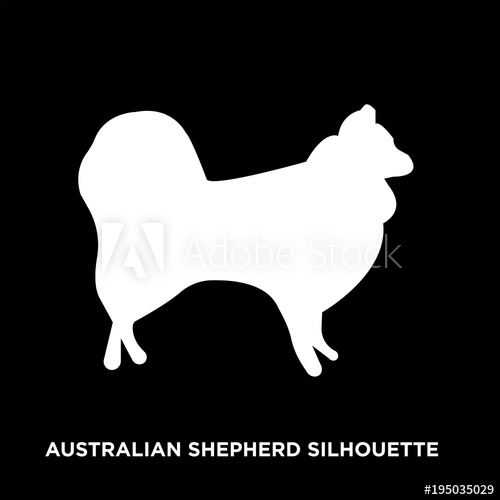 500x500 White Australian Shepherd Silhouette On Black Background