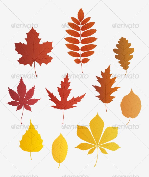 Autumn Leaves Vector at GetDrawings | Free download