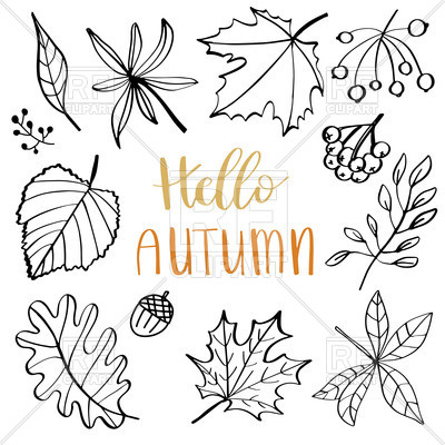 400x400 Autumn Leaf Set