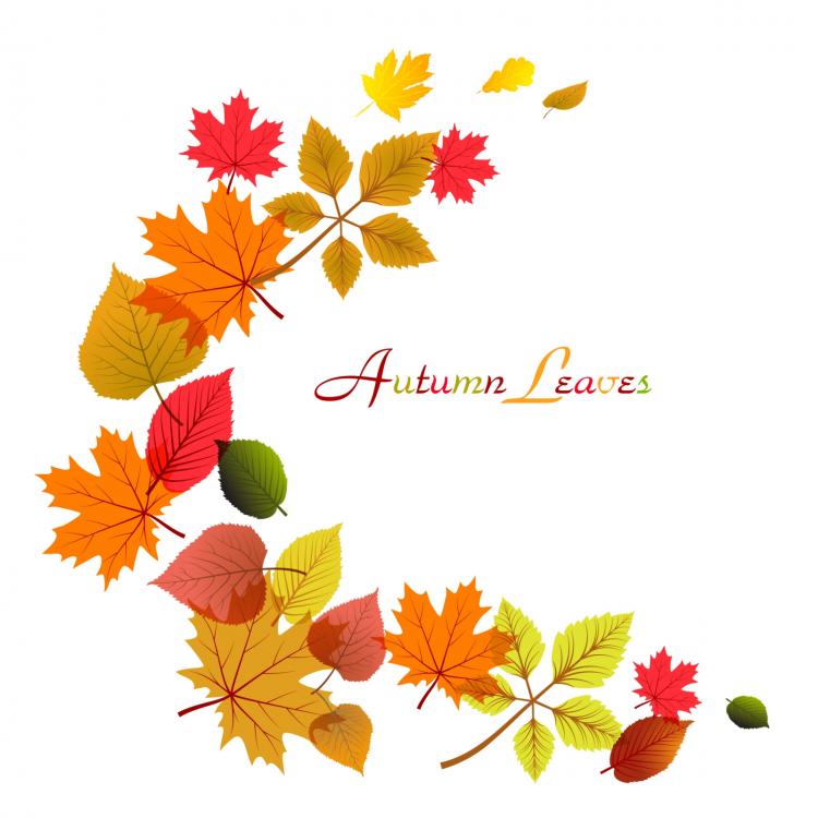 750x750 Flowing Autumn Leaves Frame Free Vector 4vector