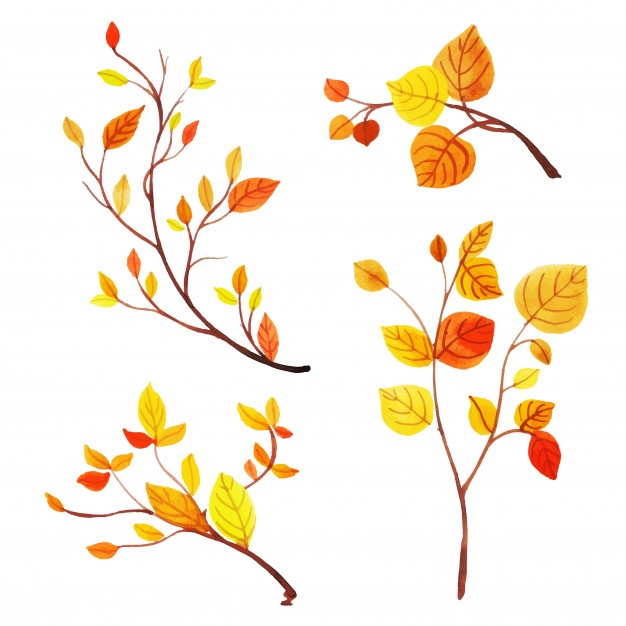 626x626 Autumn Leaves Vectors, Photos And Psd Files Free Download
