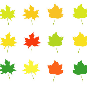 300x300 Autumn Leaves Vector