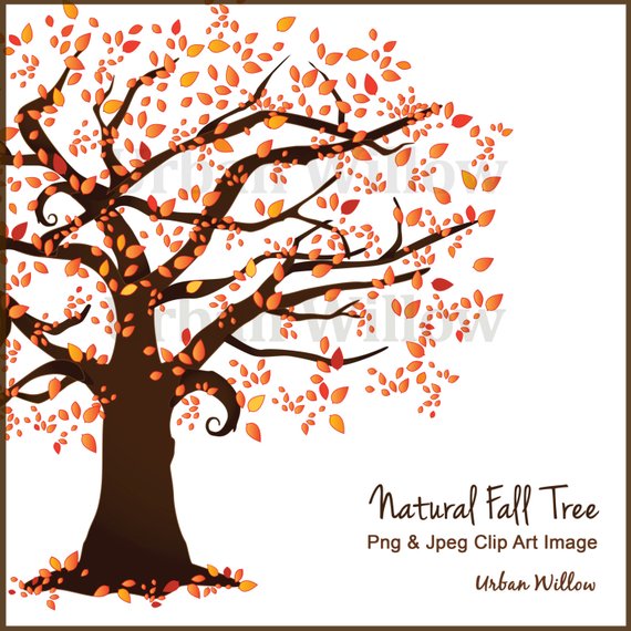 570x570 Beautiful Tree Clipart Autumn Tree Scrapbook Trees Vector Etsy