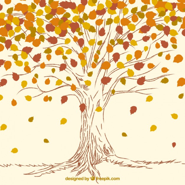 626x626 Hand Drawn Autumn Tree Background Vector Free Download