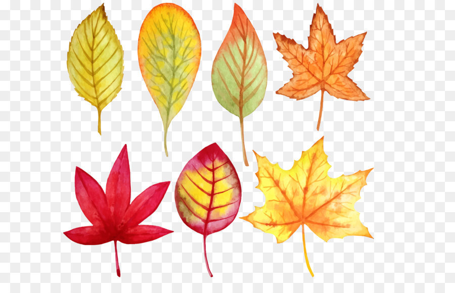 900x580 Leaf Watercolor Painting Autumn