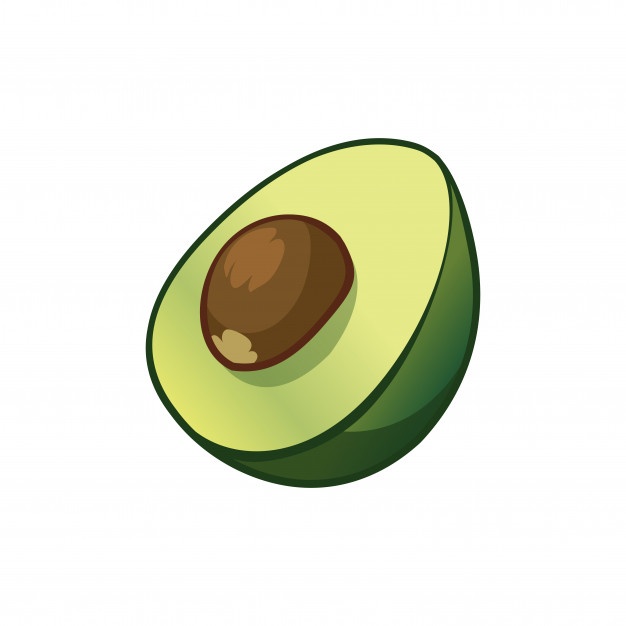 626x626 Avocado Vector Vectors, Photos And Psd Files Free Download