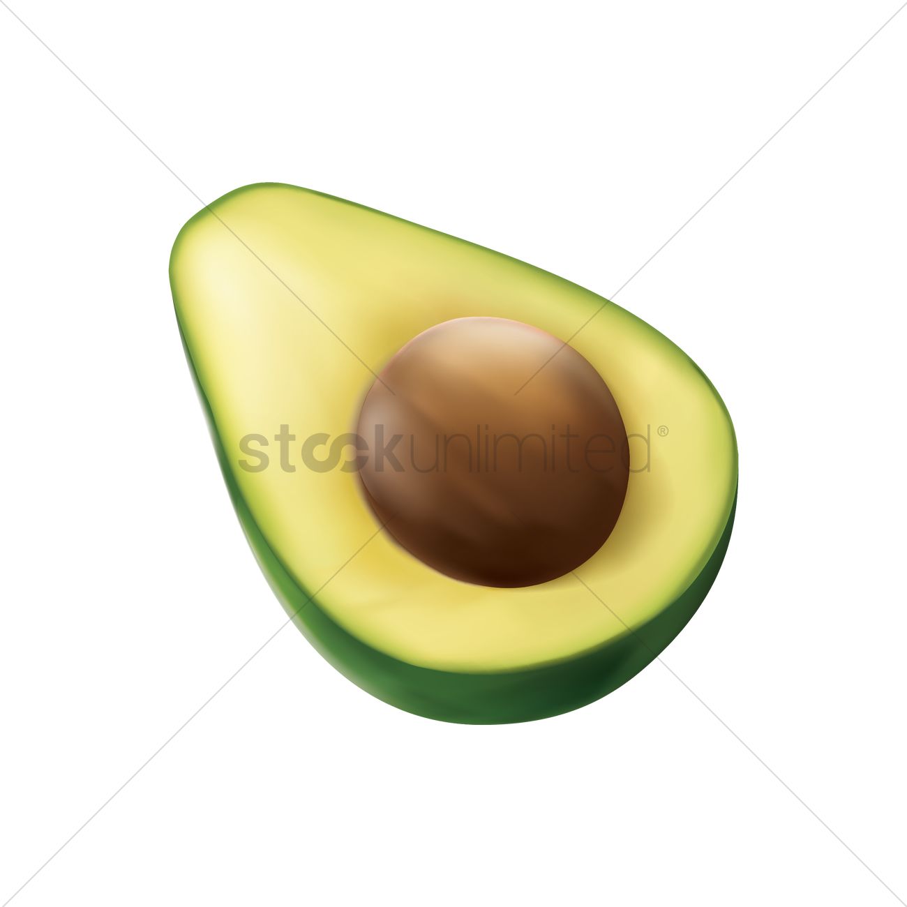 1300x1300 Cross Section Of Avocado Vector Image