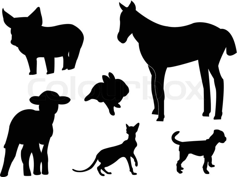800x597 Baby Animals Silhouettes