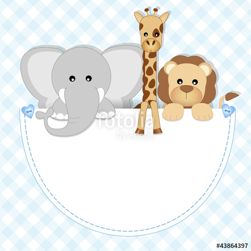 500x500 Baby Animals