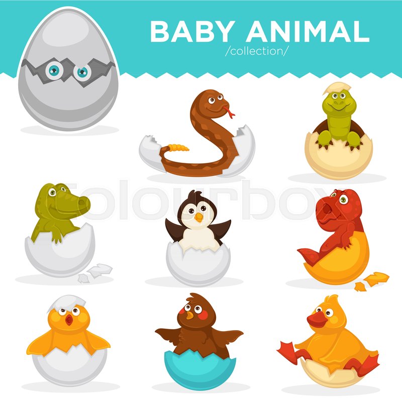 800x800 Baby Animals Hatch Eggs Or Cartoon Pets Hatching. Vector Flat