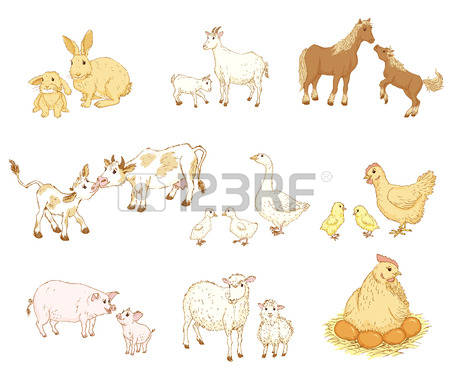 450x384 Mama Baby Animal Banner Library Download